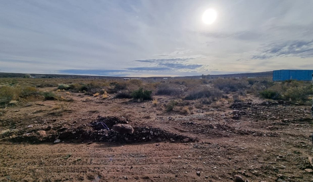 WhatsApp Image 2023-07-25 at 13.53.54