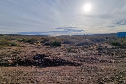 WhatsApp Image 2023-07-25 at 13.53.54