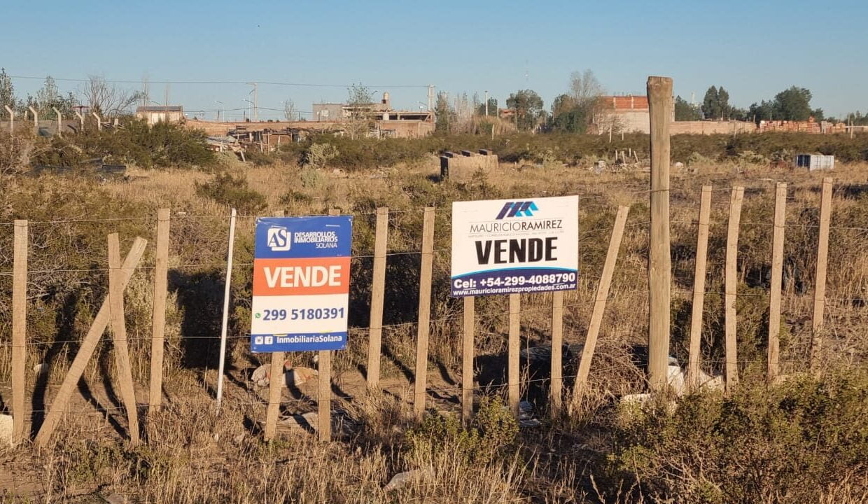 WhatsApp Image 2024-04-23 at 11.33.44 (1)