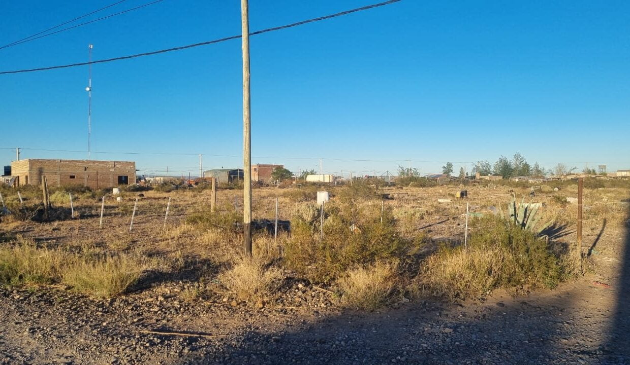 WhatsApp Image 2024-04-23 at 11.33.46 (1)