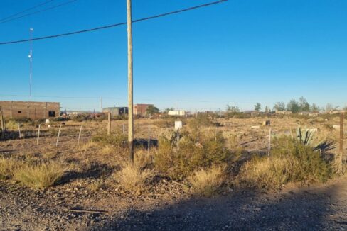 WhatsApp Image 2024-04-23 at 11.33.46 (1)