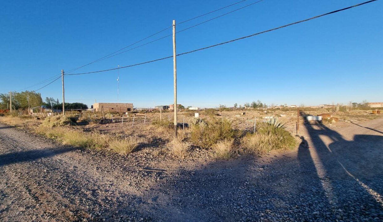 WhatsApp Image 2024-04-23 at 11.33.46