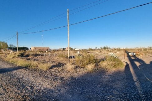 WhatsApp Image 2024-04-23 at 11.33.46